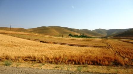 شهر کرد- کوهرنگ- حوالی روستای مرغملک